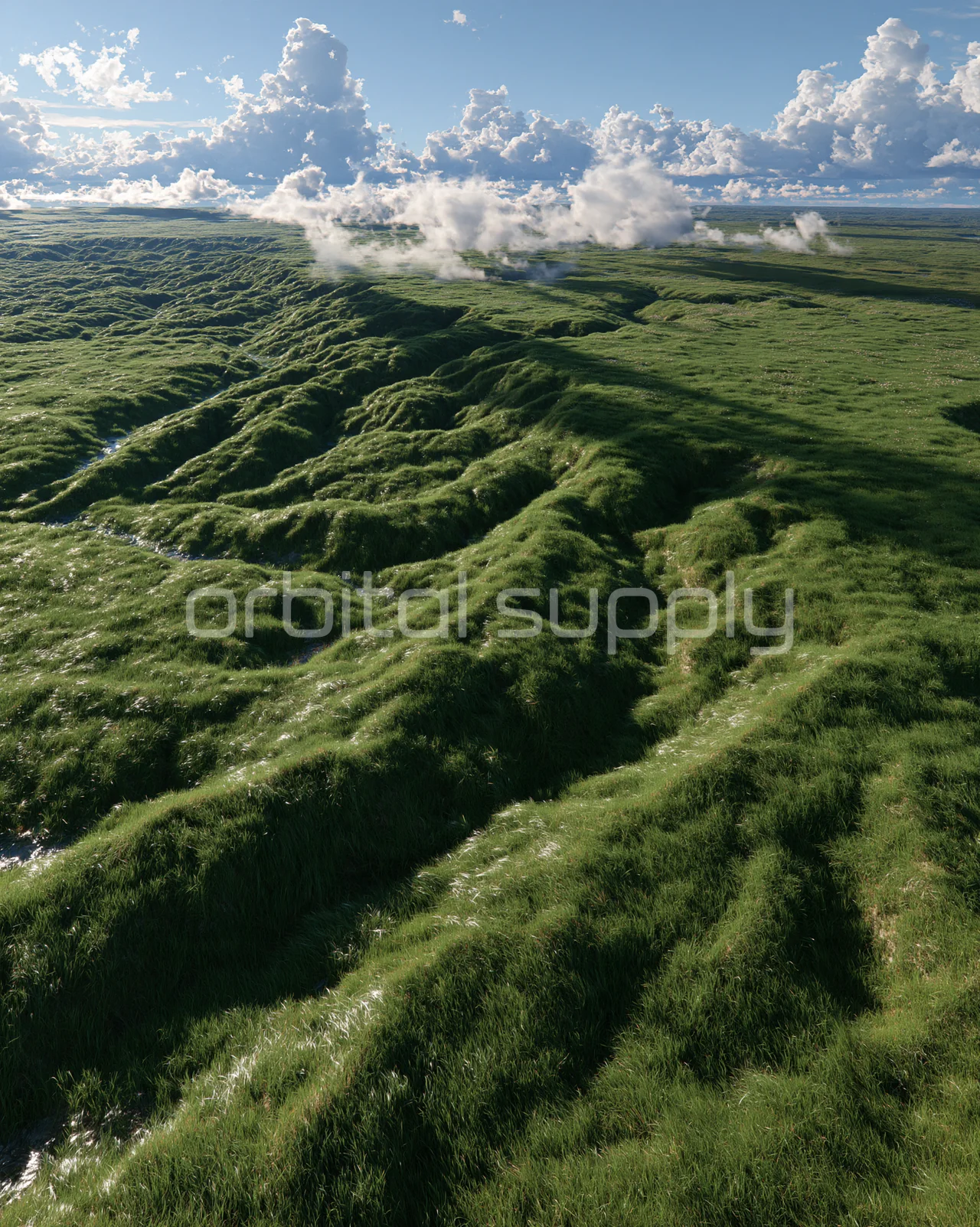 Long sculptural folds of grass stretch toward a distant bank of clouds.
